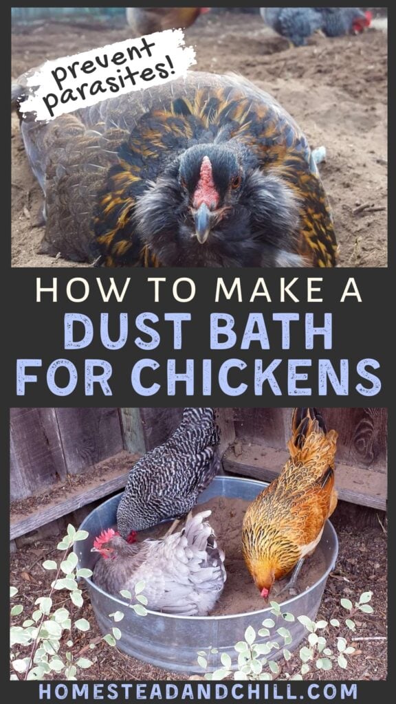 How to Make a Chicken Dust Bath: Easy DIY Ideas