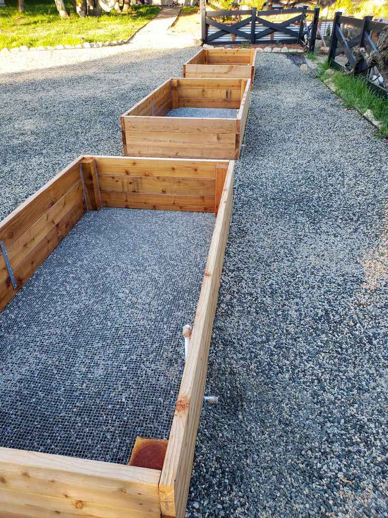 Three redwood garden planters lined up one after the next with pathways between. They are sitting atop gravel which will help with drainage to wick away moisture. 