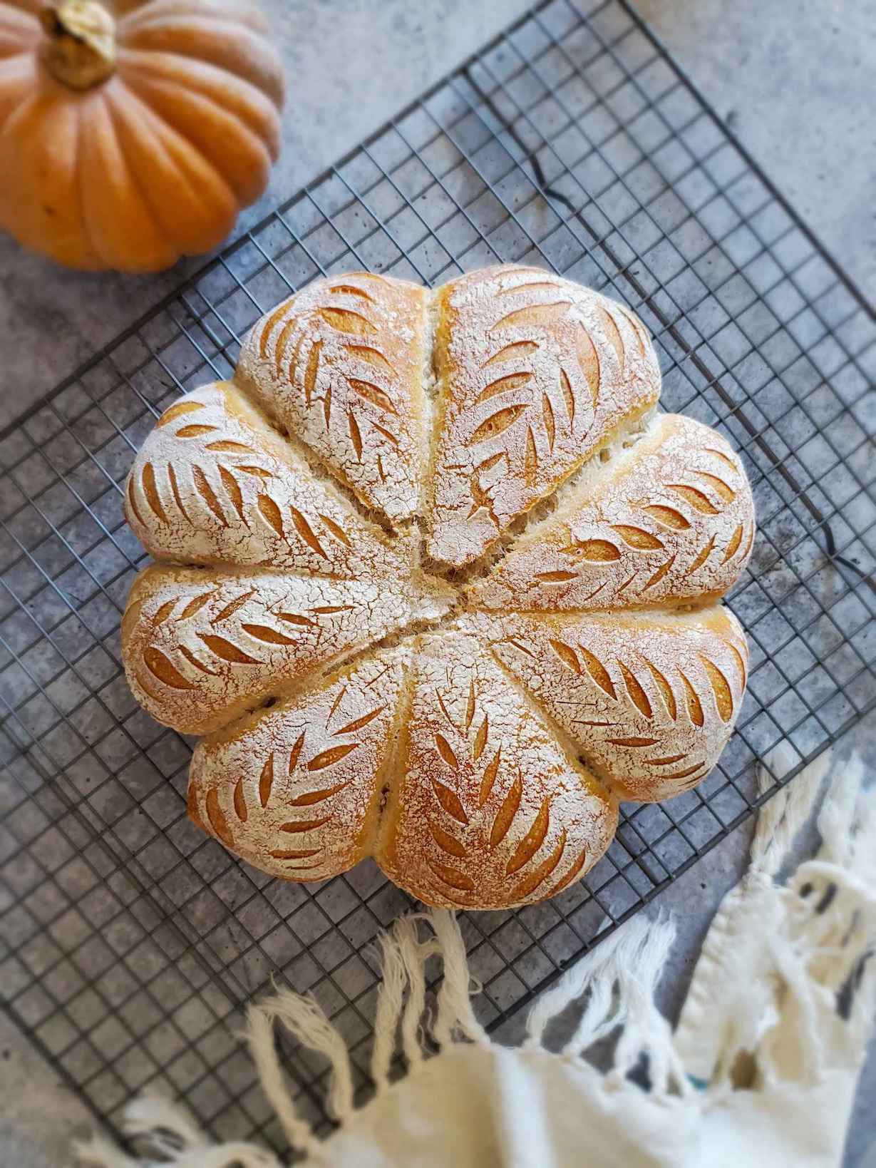 A pumpkin shaped sourdough bread loaf sits atop a wire cooling rack after baking. It has 8 lobes throughout the loaf with intricate slits in each one that resembles wheat. 