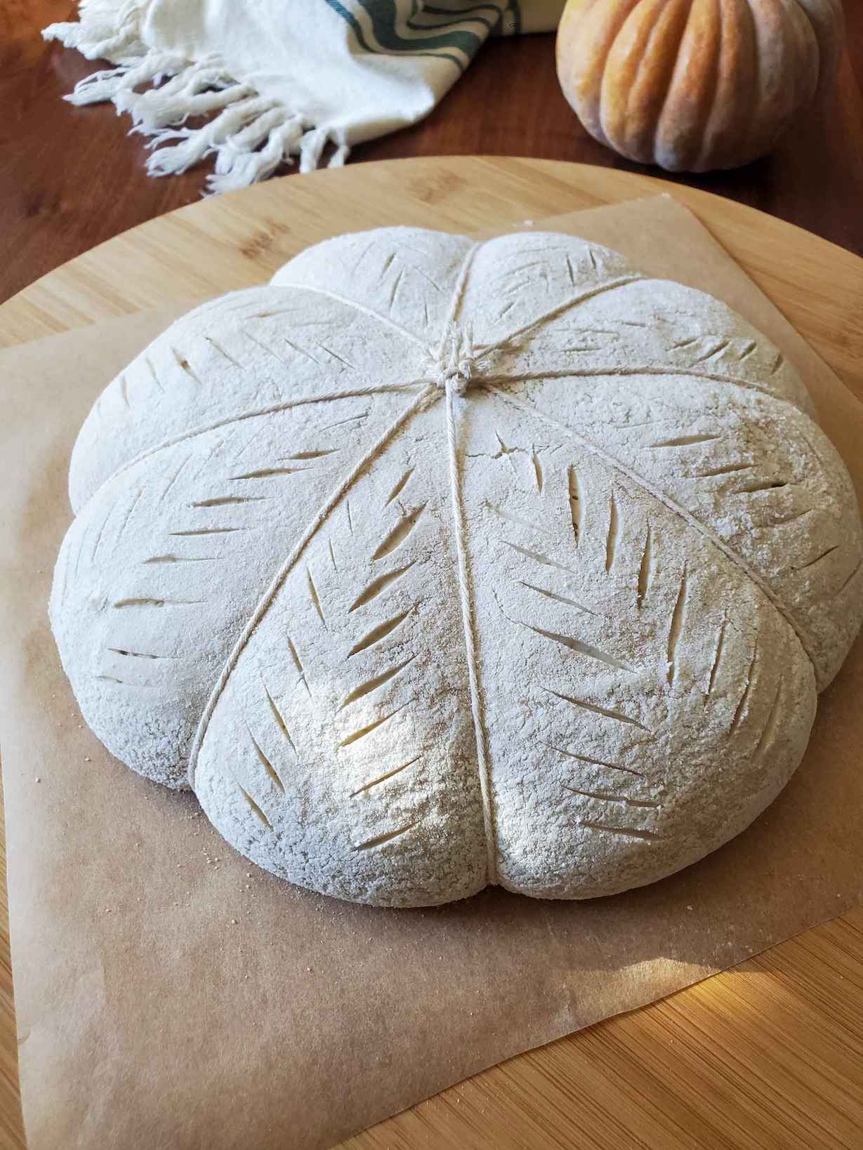 An unbaked pumpkin shaped sourdough is sitting on parchment paper atop a circular wooden board. It has been scored with many slits on each of its lobes and is ready to be baked in the oven. 