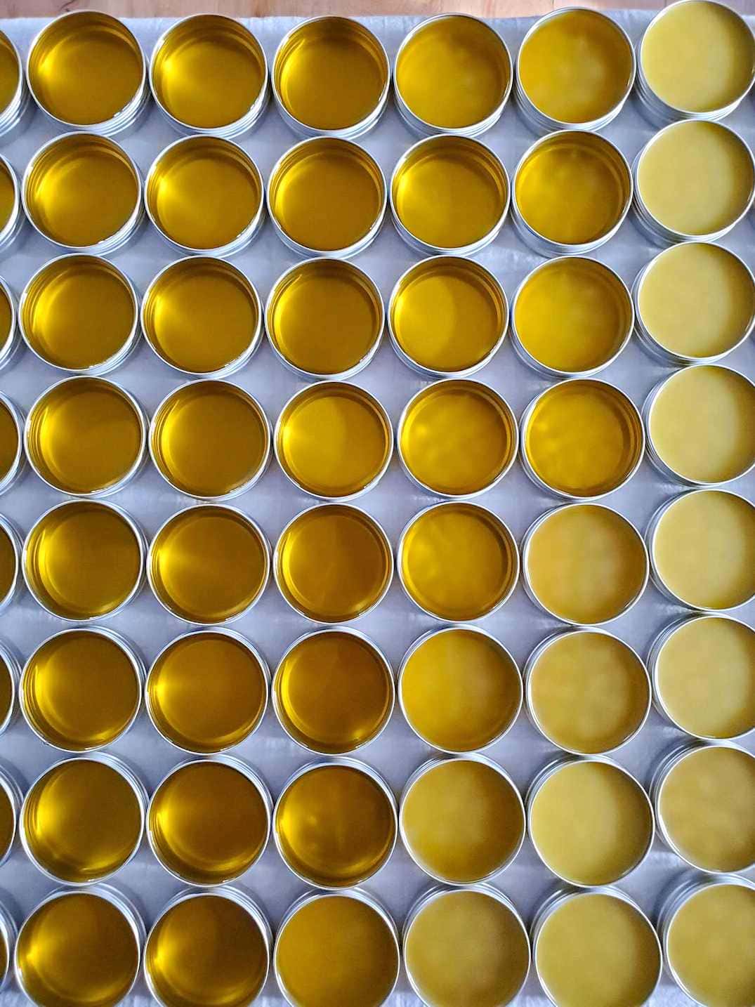 Many metal tins lined up in rows with many columns, the salve is still setting, some of them are still in a liquid state. Make salve to soothe itchy or dry skin. 