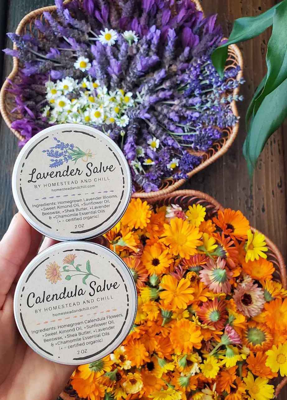 A hand is holding two salve tins, each one is a product made by Homestead and Chill, a lavender salve and a calendula salve. Below in the background are two wicker baskets, one is full of fresh calendula flowers while the other is full of fresh lavender flowers with a few chamomile flowers as well. 