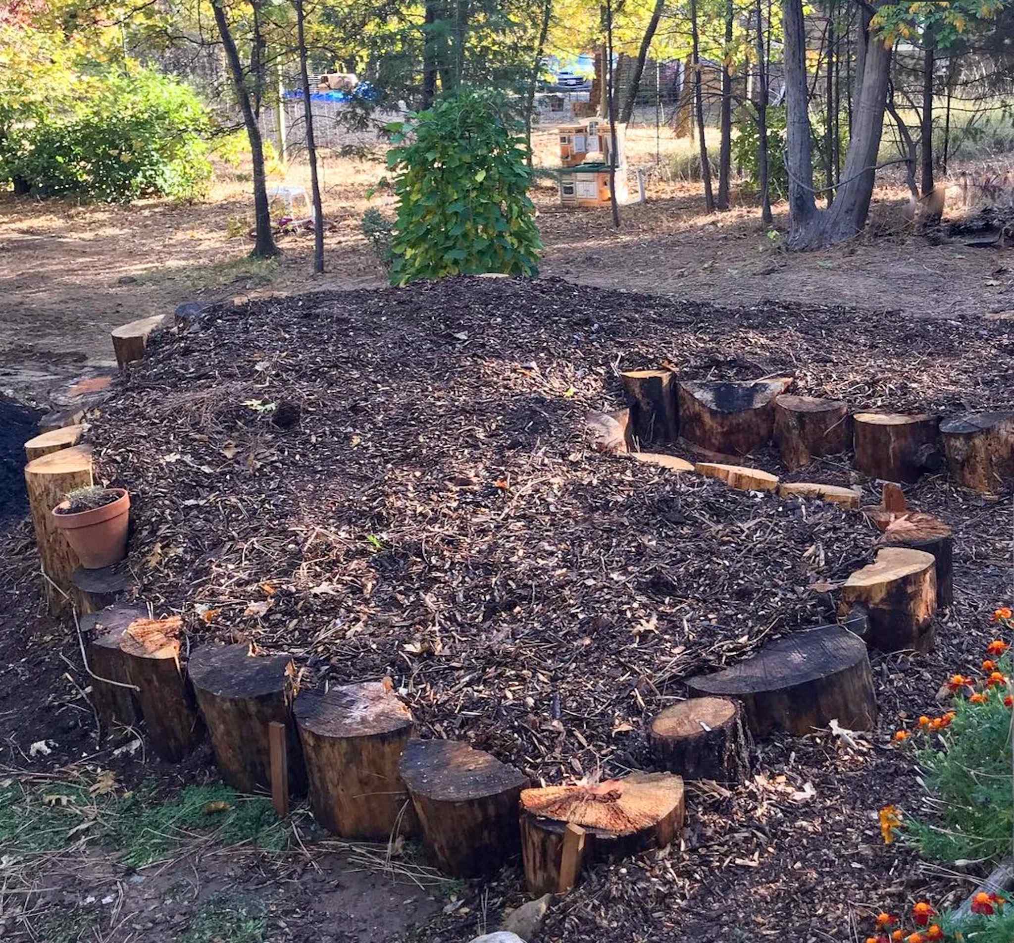 A large swathe of soil with compost and wood chips for mulch is surrounded with many large logs of varying height stood straight up and down. Using downed logs as a material for raised garden beds is a great way to re-use fallen timber. 