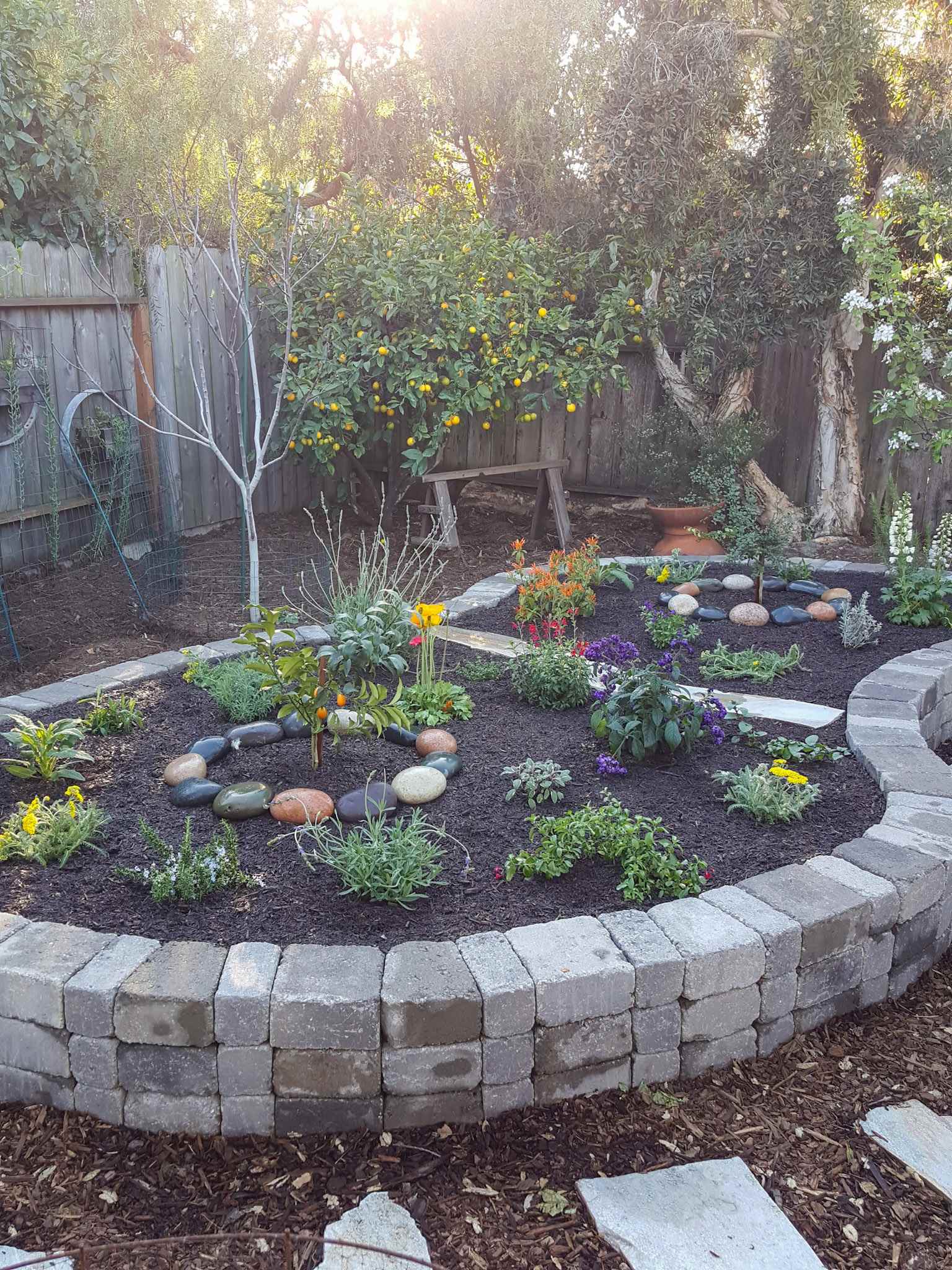 A raised stone planting island is in the shape of a kidney bean. It is stacked 3 stones high and inside the walls is dark,rich soil with various perennial and annual plants planted amongst the area. Two dwarf citrus trees and in the middle of each end. Stone is a good material for raised garden beds if you want a product that will last a long time. 