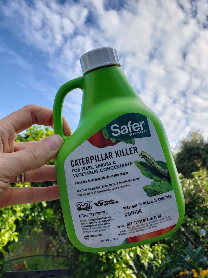 A hand is holding a bottle of Safer Brand caterpillar killer which is BT or bacillus thuringiensis. There are green trees and shrubs in the lower background with a partially clouded blue sky taking up the upper half of the background. 