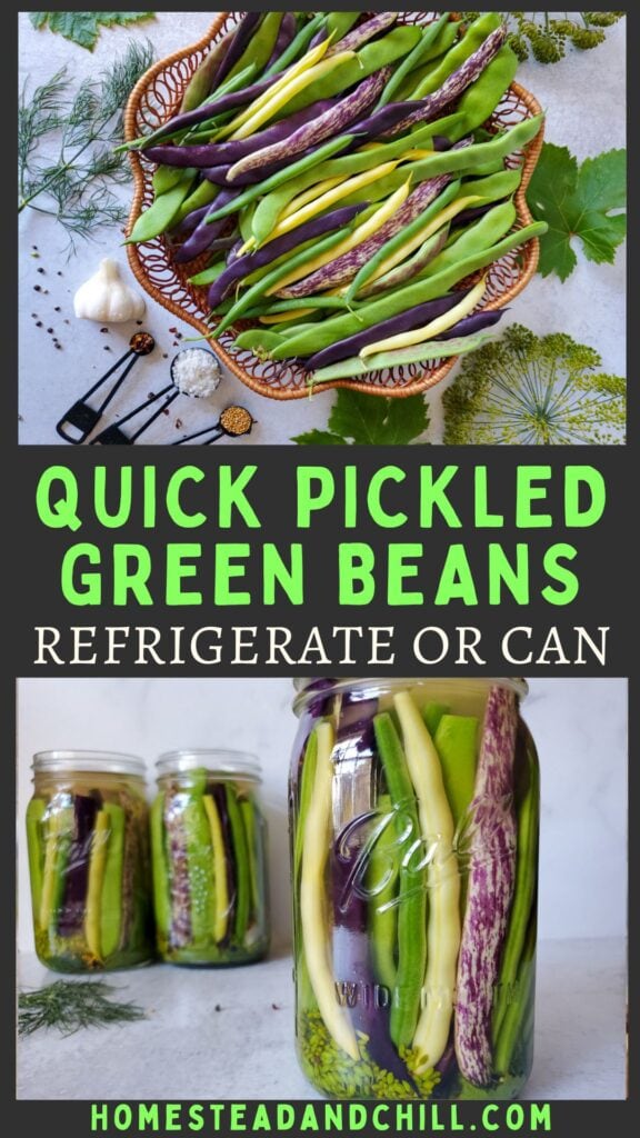 Quick Pickled Dilly Green Beans (Refrigerator or Canning)
