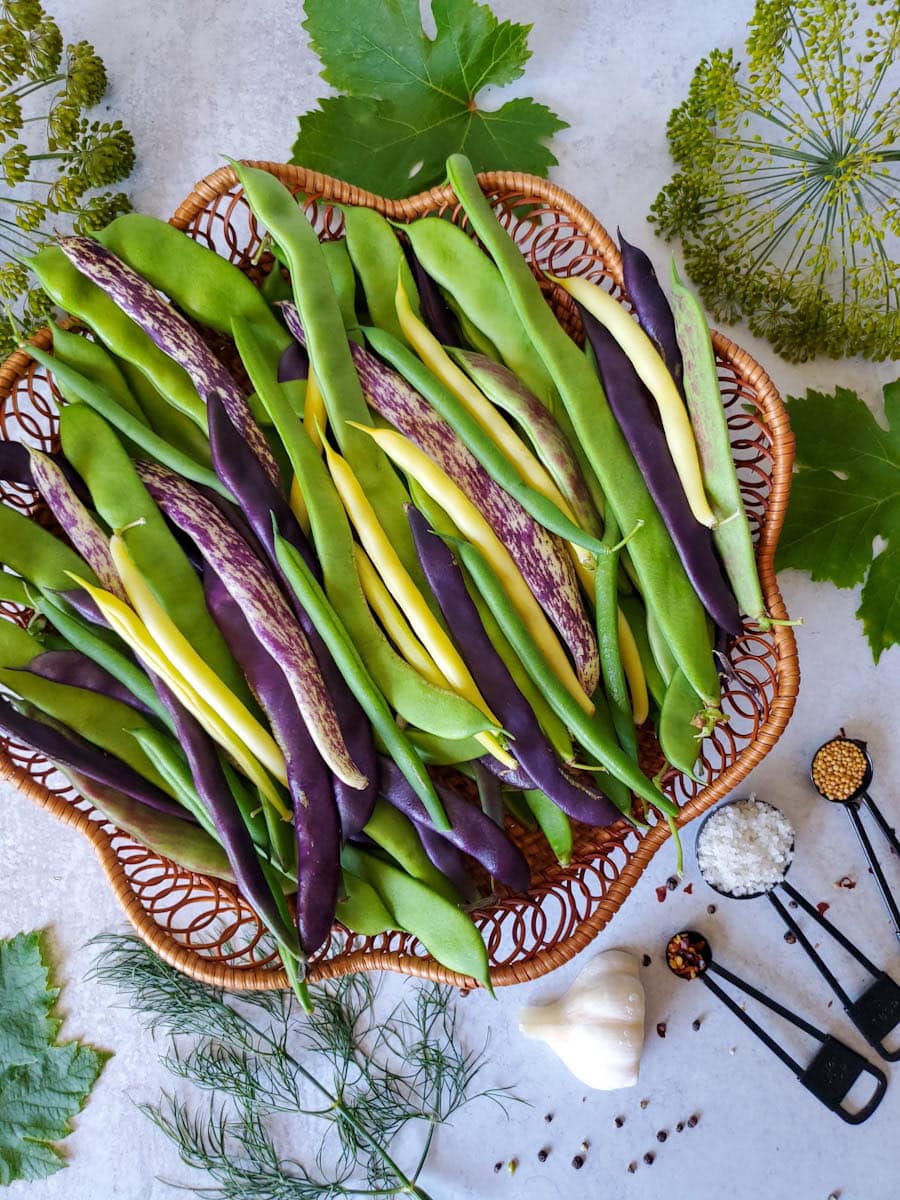 An above image of a wicker basket filled with a variety of different color green beans. Surrounding the basket of beans are dill heads, dill leaves, grape leaves, garlic, and a few measuring spoons full of salt, mustard seed, and red chili flakes. 