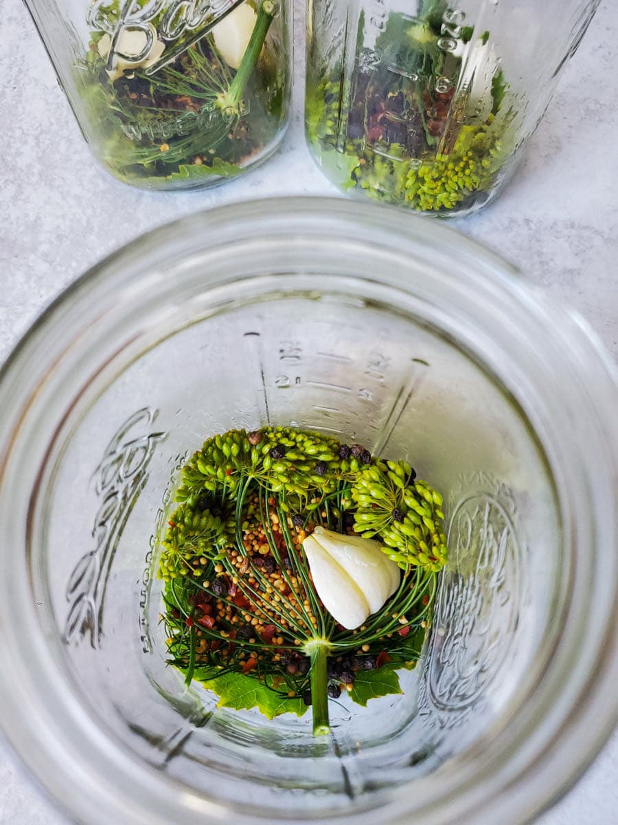 The inside of a quart mason jar is shown from above, the bottom of the jar is full of garlic cloves, dill head, grape leaves, mustard seeds, red chili flakes, and black peppercorns. Two other quart mason jars are sitting just above the featured one with the same ingredients. 