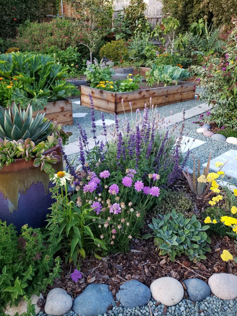 A"pollinator zone" in the front yard garden, complete with dozens of plants for pollinators inluding yarrow, scabiosa, echinacea, oregano, salvia, lavender, and more! It is bordered by large pastel cobblestones. Flowers of all shapes, sizes, and colors are present. In the background, there are raised garden beds. 