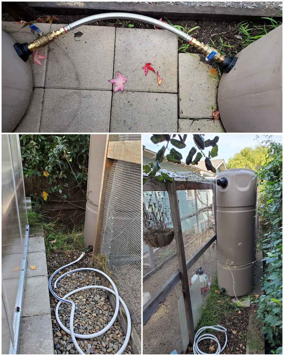 A three way image collage, the first image shows the two rain tanks connected at the bottom of each tank by a hose bib that is connected to a thick pipe. Each one can be opened to  allow the water from one to flow into the next. The second image shows a hose bib connected to a small section of hose at the opposite end of the rain tank as previously shown. This is where the rain water is harvested from fro use in the garden. The third image shows the other rain tank and the hose bib connected to the bottom with a hose lying nearby for easy use. 
