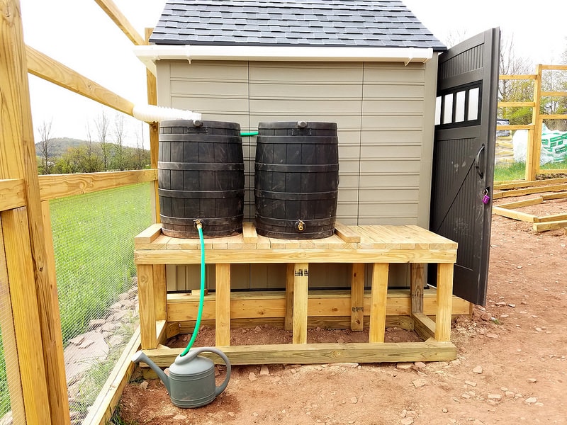 A rain water collection system shown next to a plastic shed, the smaller rain barrels are connected to a downspout which is connected to a gutter that is hanging from the sheds roof.  The barrels are elevated on a wooden platform and a hose is connected to one of the barrels hose bibs which is filling a watering can. 