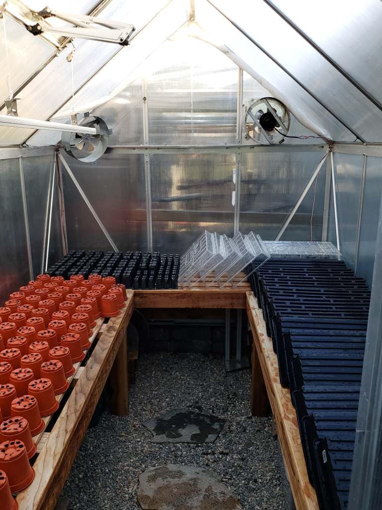 A garden greenhouse full of clean seedling starting supplies, including pots, seed trays, and humidity domes. 