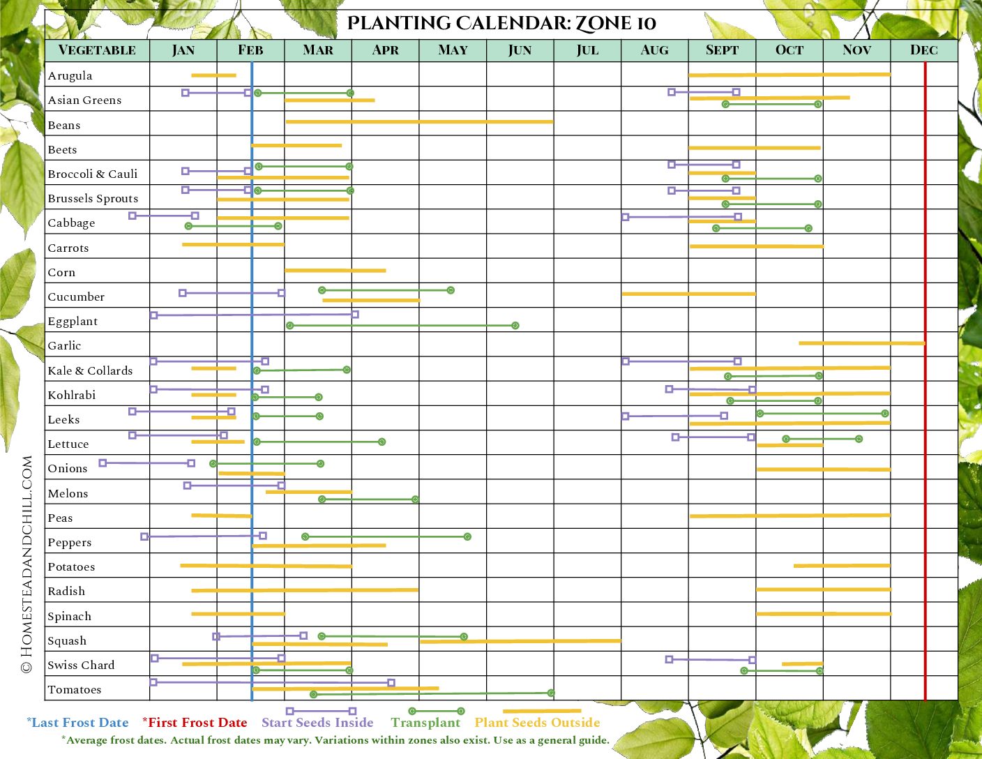 A garden planting calendar for USDA growing zone 10. This shows gardeners the best time to start seeds indoors, transplant, or directly plant their vegetable seeds in the garden, depending on where they live.