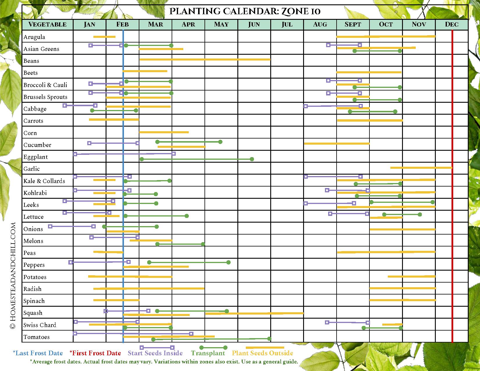 A planting calendar for Zone 10, it has many different vegetables lined up on the left side of the chart and all of the months of the year listed on the top of the chart. Each vegetable has different colored lines that correspond with when to start seeds inside, transplant outdoors, and plant seeds outside, along with corresponding last frost date and first frost date where applicable. The lines start left to right, showing what months you should do each particular task depending on the season and where you live.