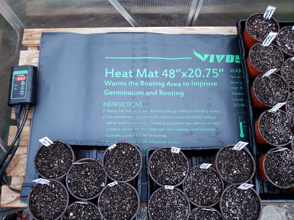 A seedling heat mat, which helps keep seeds at the ideal germination temperature to sprout and become healthy plants.  