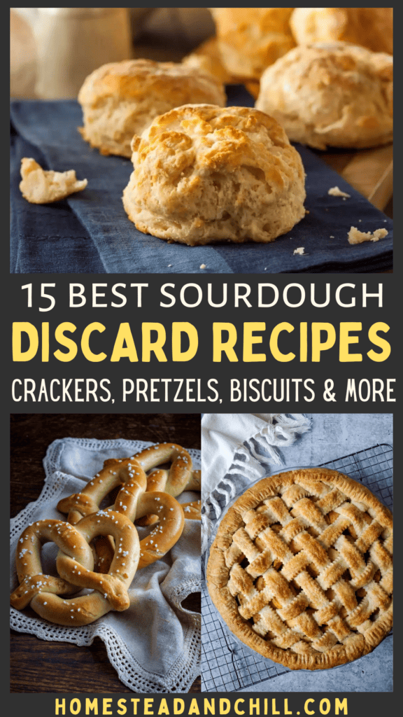 15 Best Sourdough Discard Recipes: Ways to Use Starter Discard