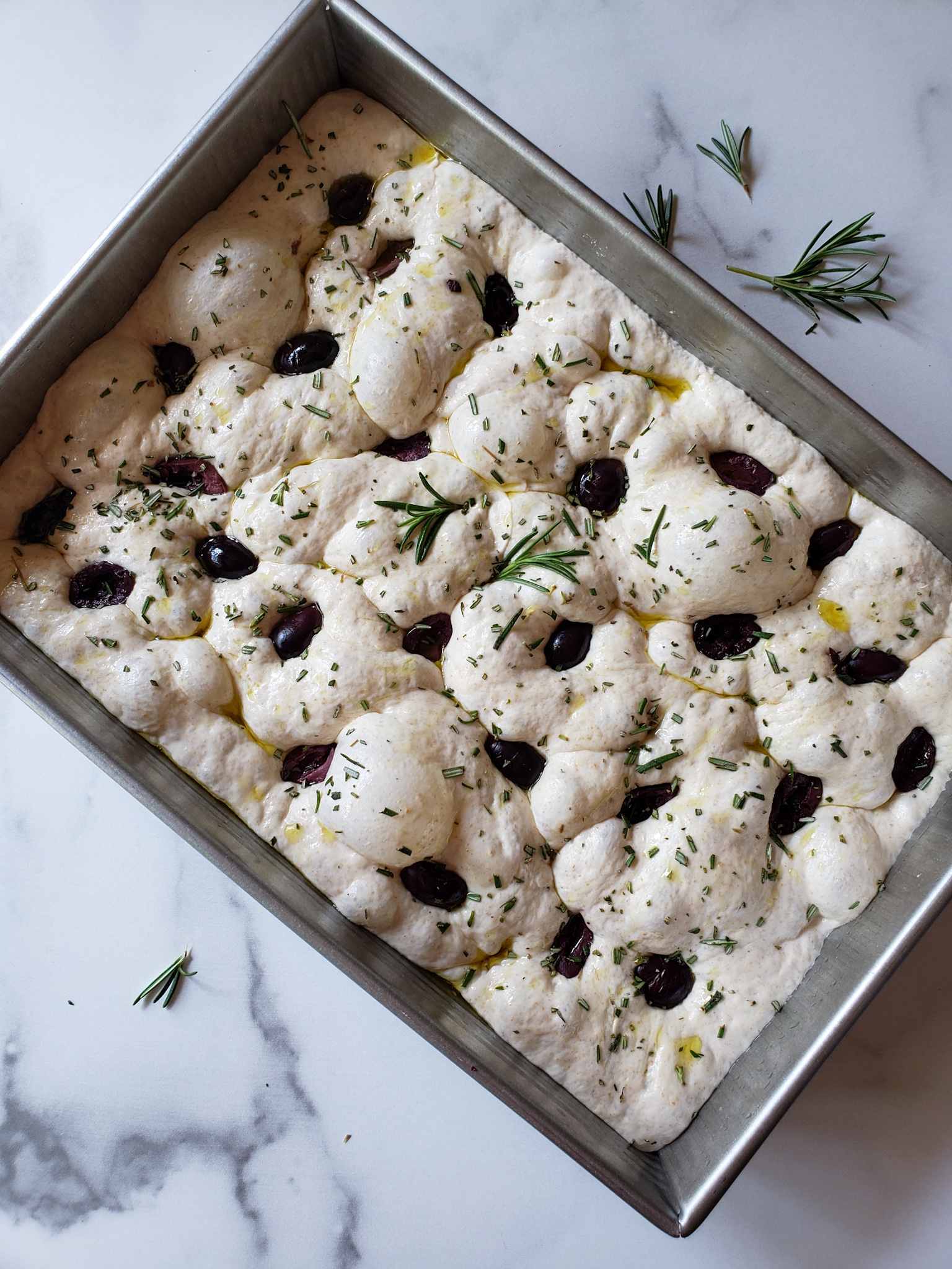 A baking pan full of sourdough focaccia that has been dressed with olive oil, coarse sea salt, kalamata olives, and fresh chopped rosemary is shown. The next step is to bake it!