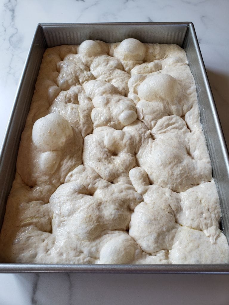The sourdough focaccia dough is shown inside a baking pan after it has been poked  repeatedly to produce a bubbly, airy, and pillowy dough.