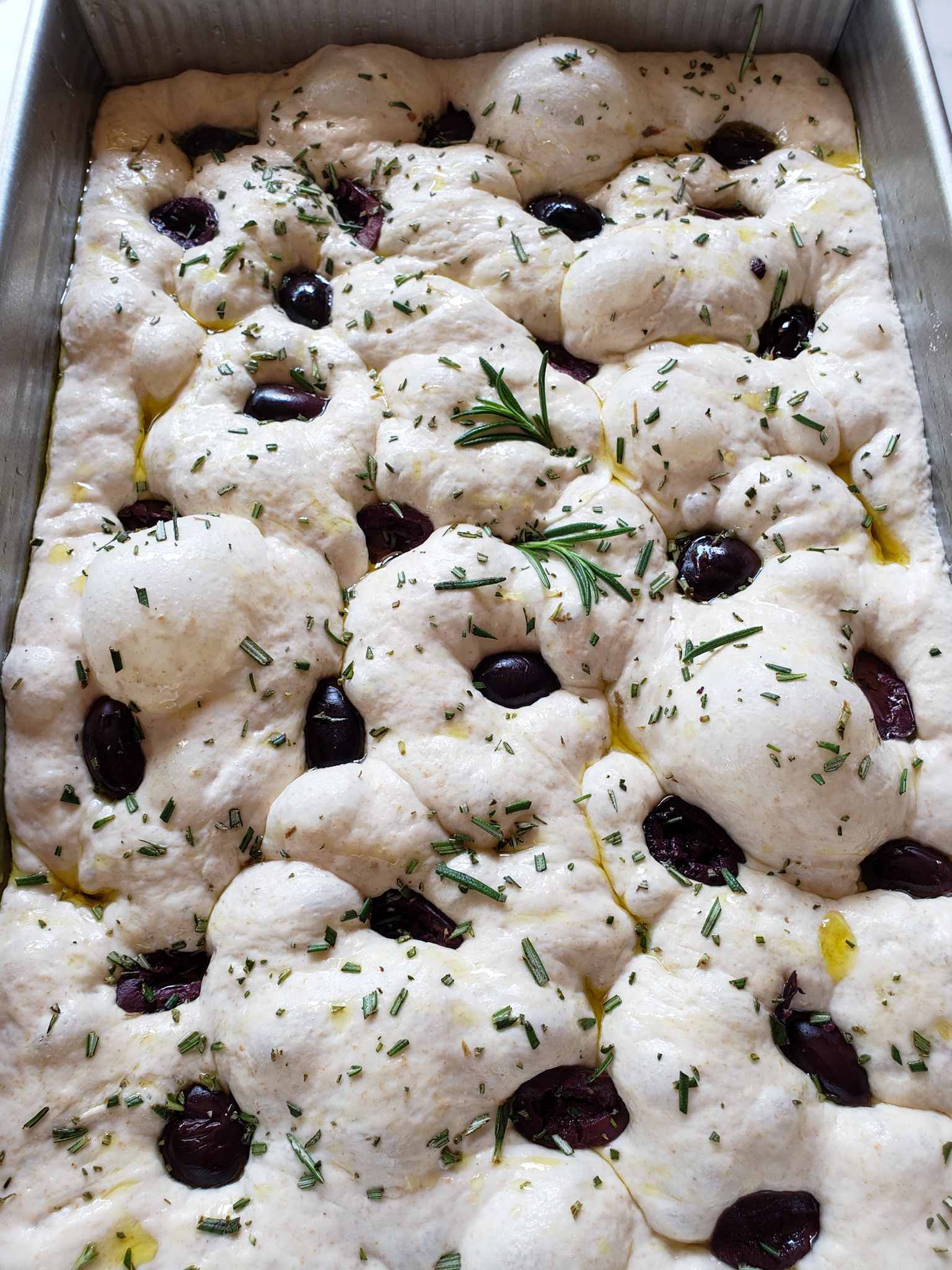 A close up image of the dough after it has been dressed with a drizzle of extra virgin olive oil, sprinkled with course sea salt, and topped with fresh chopped rosemary and kalamata olives. The olives have been lightly pushed into the dough.