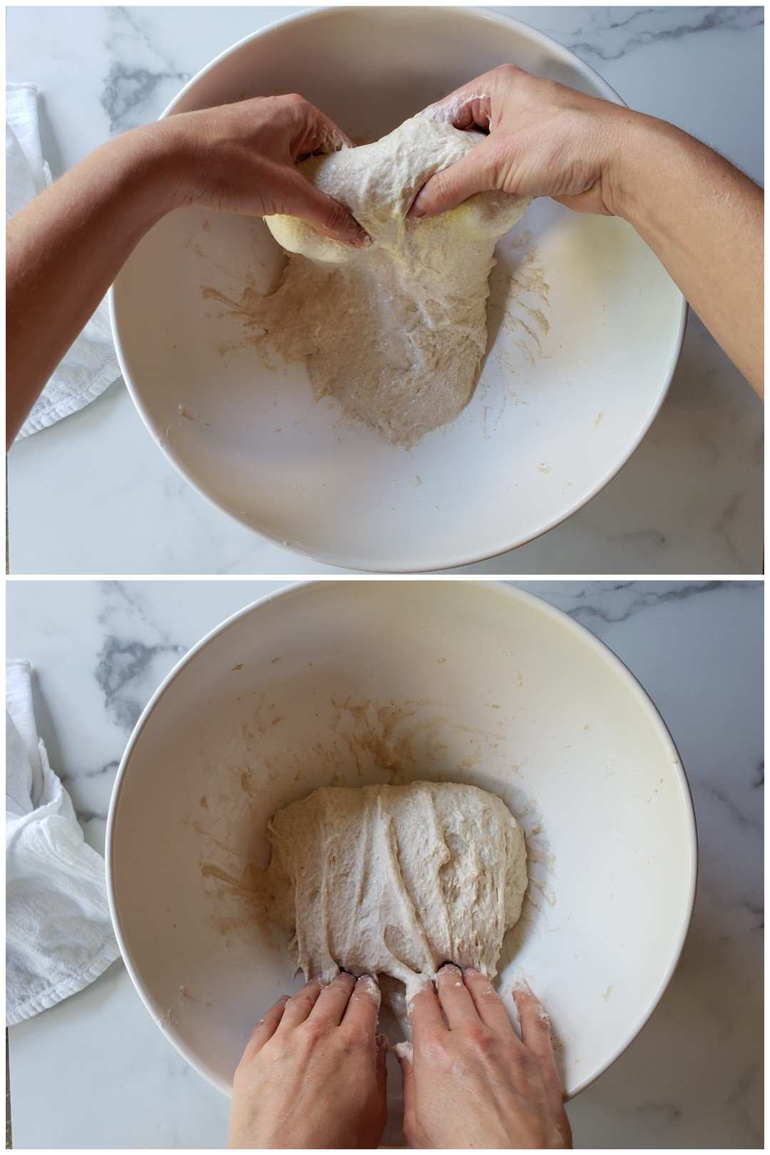 A two part image collage, the first image shows the mixed dough and a set of hands lifting part of the dough upwards. This is the stretch portion of a technique called "stretch and fold". The second image shows the fold portion of the "stretch and fold" which is folding the dough onto itself.