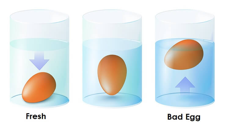 A cartoon diagram of a float test for eggs. There are three cylinders, each one is filled halfway full of water. The first cylinder is marked fresh underneath the cylinder and the egg is resting on the bottom of the cylinder. The second cylinder shows the egg floating just above the bottom of the cylinder, its pointed end is pointing directly downwards. The third cylinder is marked "Bad Egg" on the bottom and the egg is floating on the top of the water. Part of the egg is even sticking up out of the liquid. 