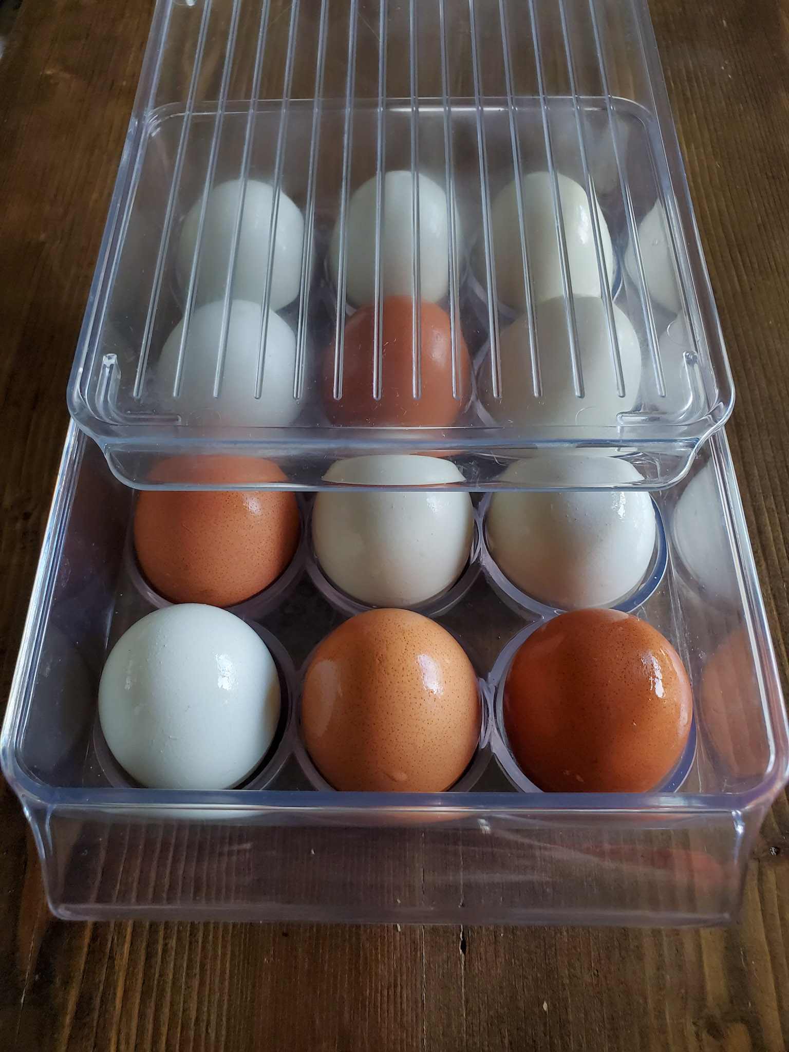 A dozen eggs are in a plastic egg storage container. The eggs range in color from light blue, to light green, and dark brown. The eggs have a sheen on their shell from being used in a float test. The container is partially covered with a clear plastic lid that will be fully placed over the container during storage. 