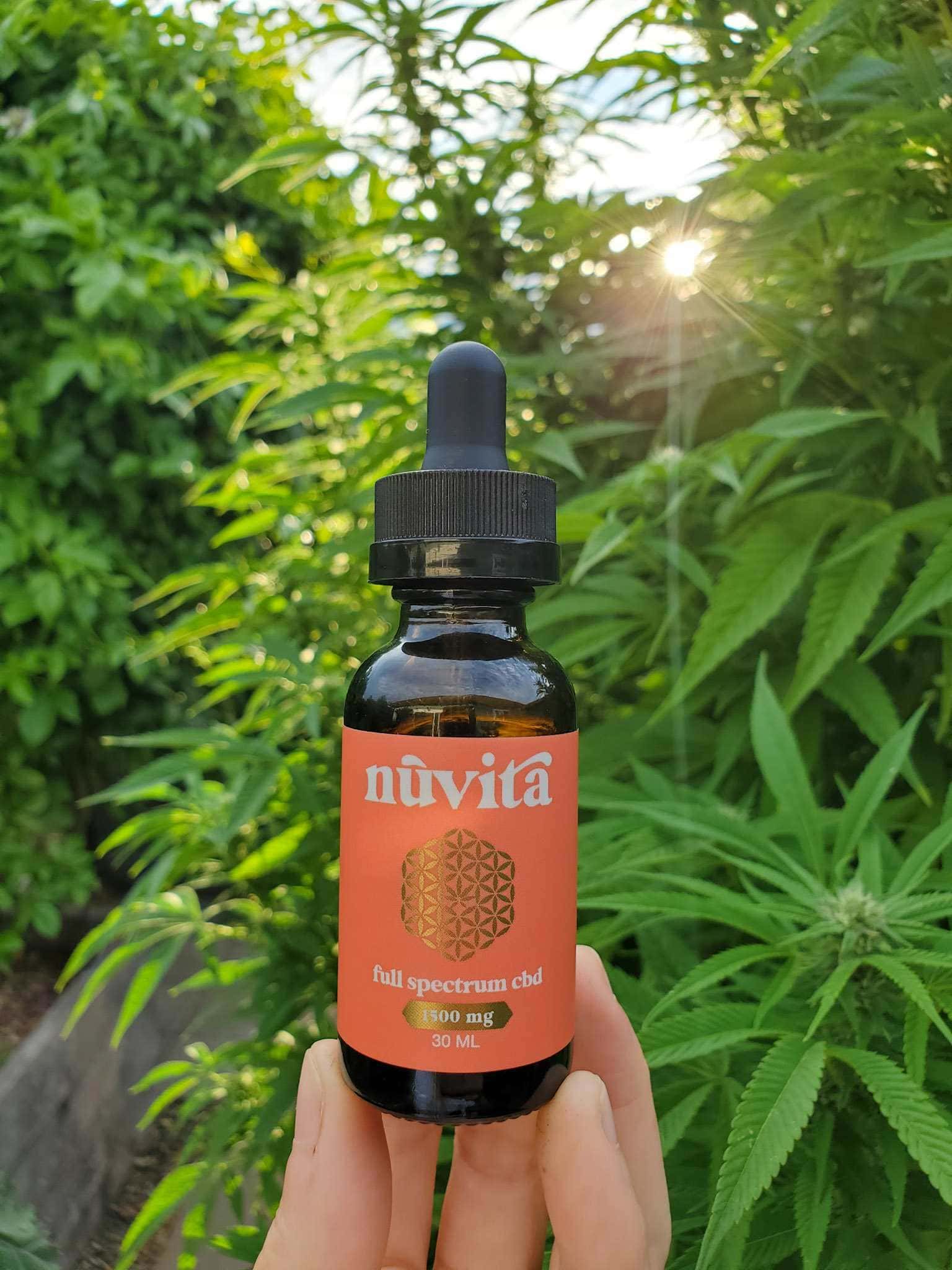 DeannaCat is holding a dropper bottle of full spectrum CBD by Nuvita. Beyond the dropper bottle is a cannabis plant in the early stages of flowering. The sun is shining in through one of the branches in the background creating rays of sun emanating from its center. 