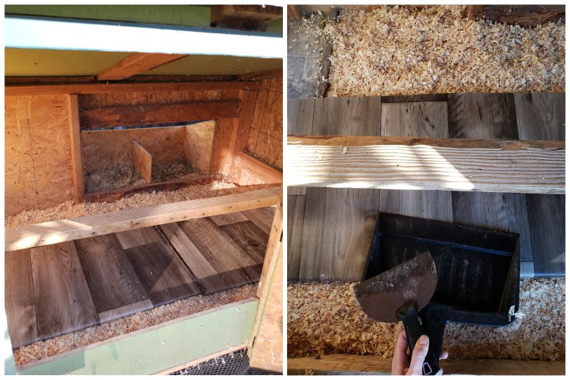 A view inside the chicken coop, showing the roost and poop board below. 