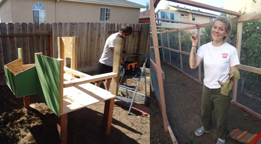 Two photos of Deanna and Aaron in the process of building their coop. One shows Aaron with the frame of the coop on legs, and the other shows Deanna in the long enclosed run. 