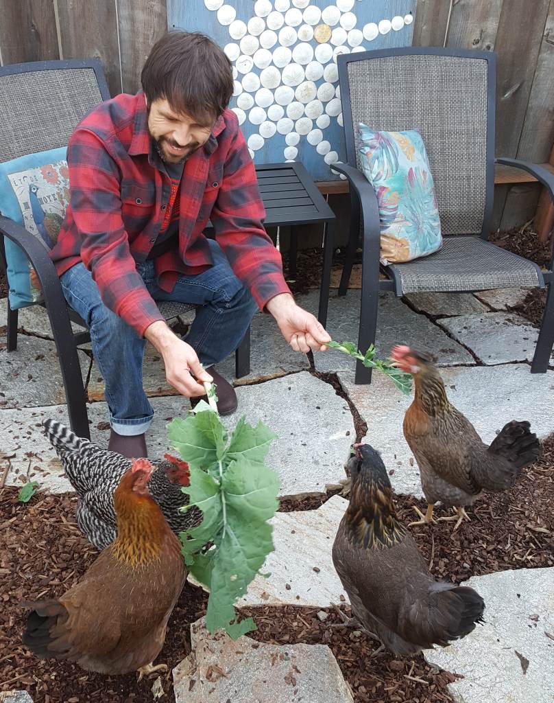 Aaron sits on a chair in the garden, leaning forward, holding out large leaves of greens for the four chickens around him to eat.