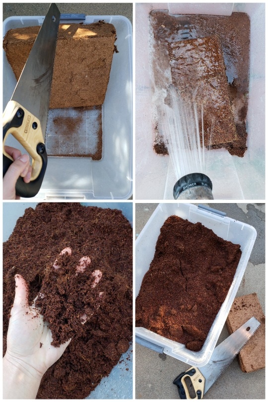 Four images, showing the process of sawing a large 10-pound brick of coco coir in half, putting that half in a clear plastic tote and spraying water on top, then it is being held in a hand, fluffy and wet. 