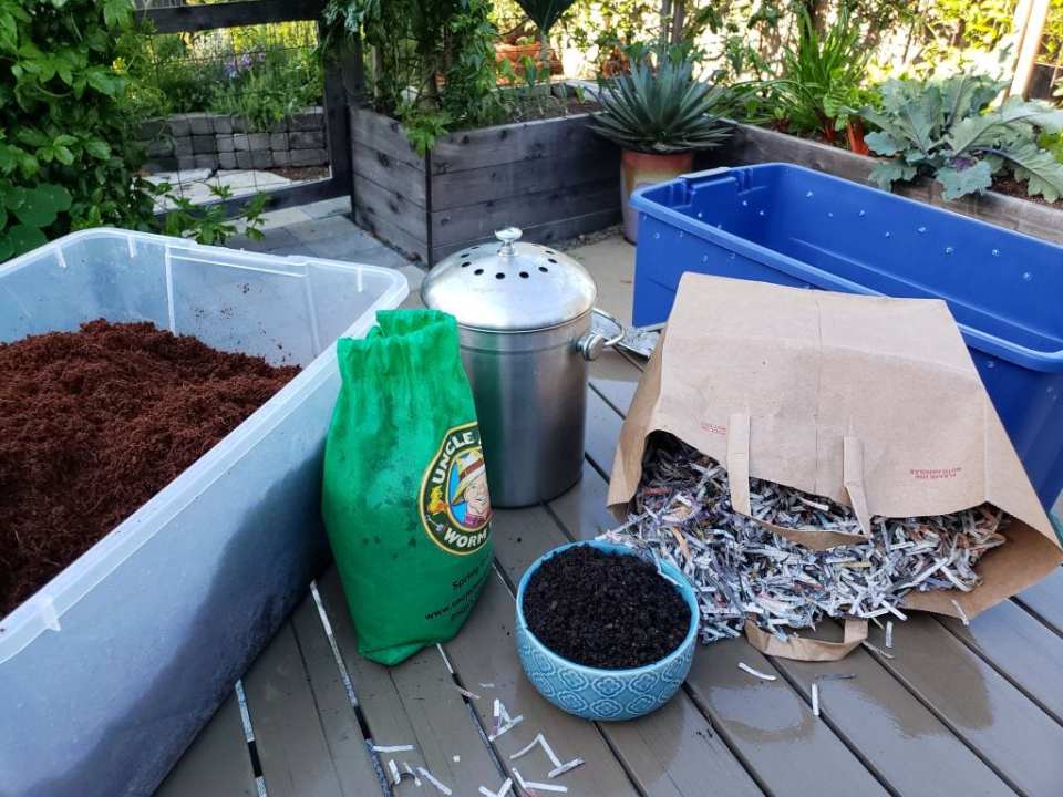 An image of worm bin supplies on a garden patio table. There is a plastic tote bin full of brown fluffy rehydrated coco coir, a bag of compost worms, a stainless steel crock that holds food scraps, a pile of shredded newspaper, and a large empty bin, that will become the new worm bin. 